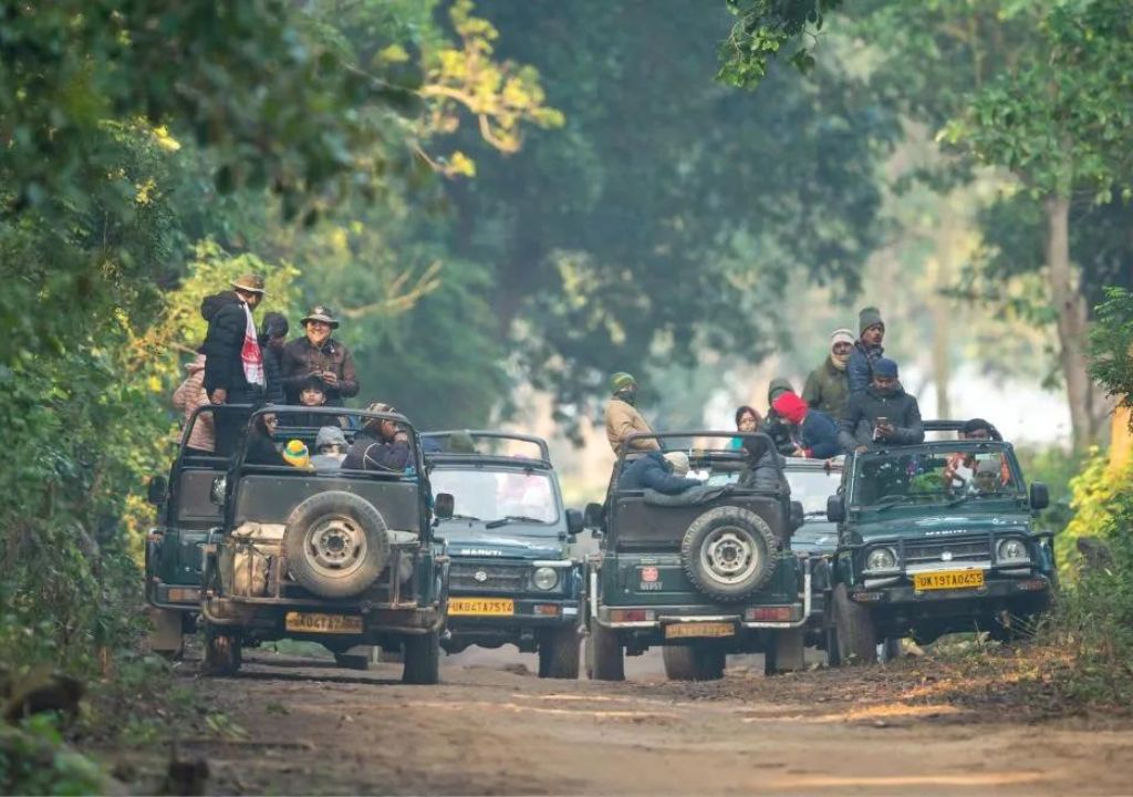 Why should you visit Rajaji National Park