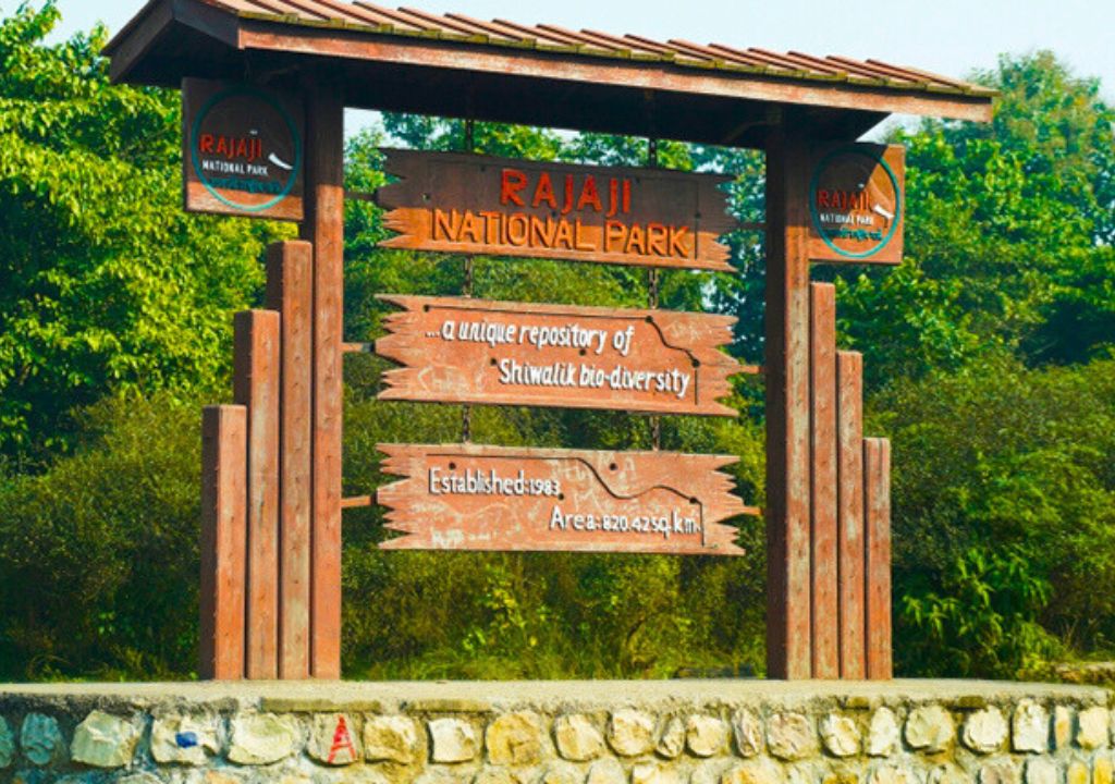 why you should visit
