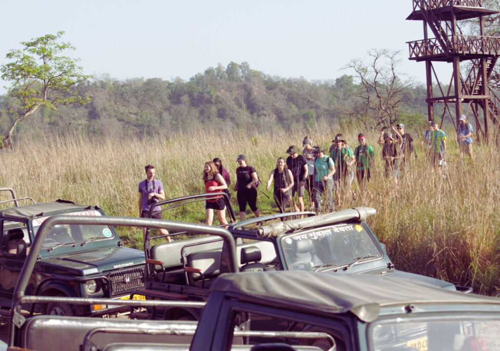 Best Adventure Activities in Rajaji National Park