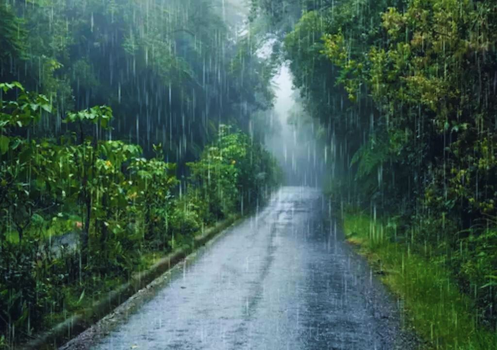 Monsoon Safari in Rajaji National Park