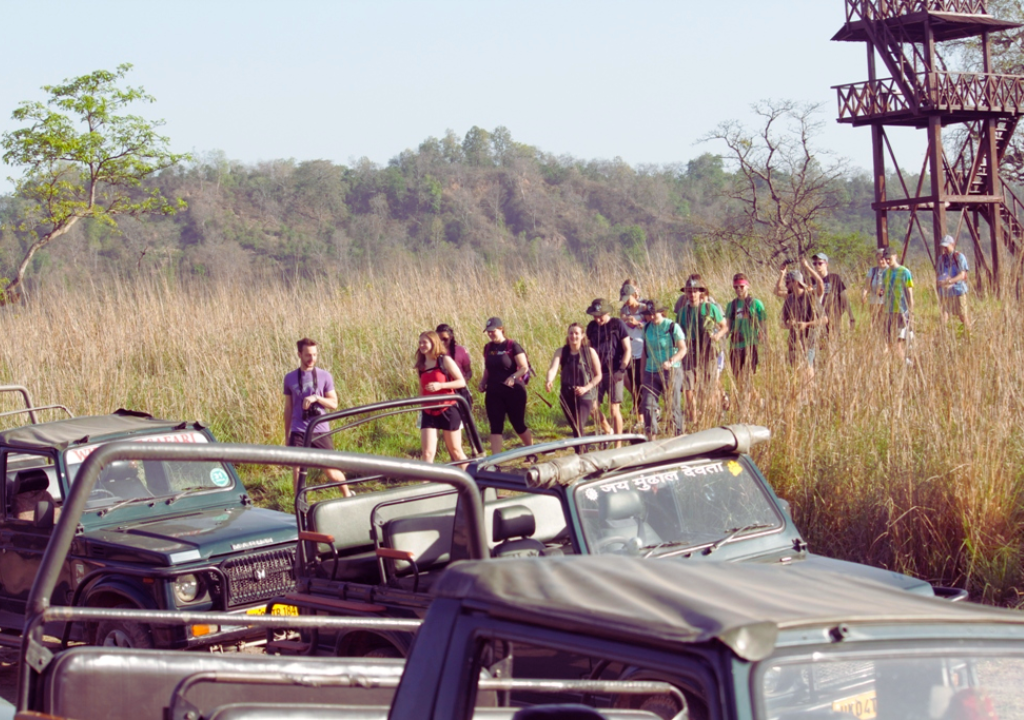 Adventurous Jeep Safaris in Rajaji