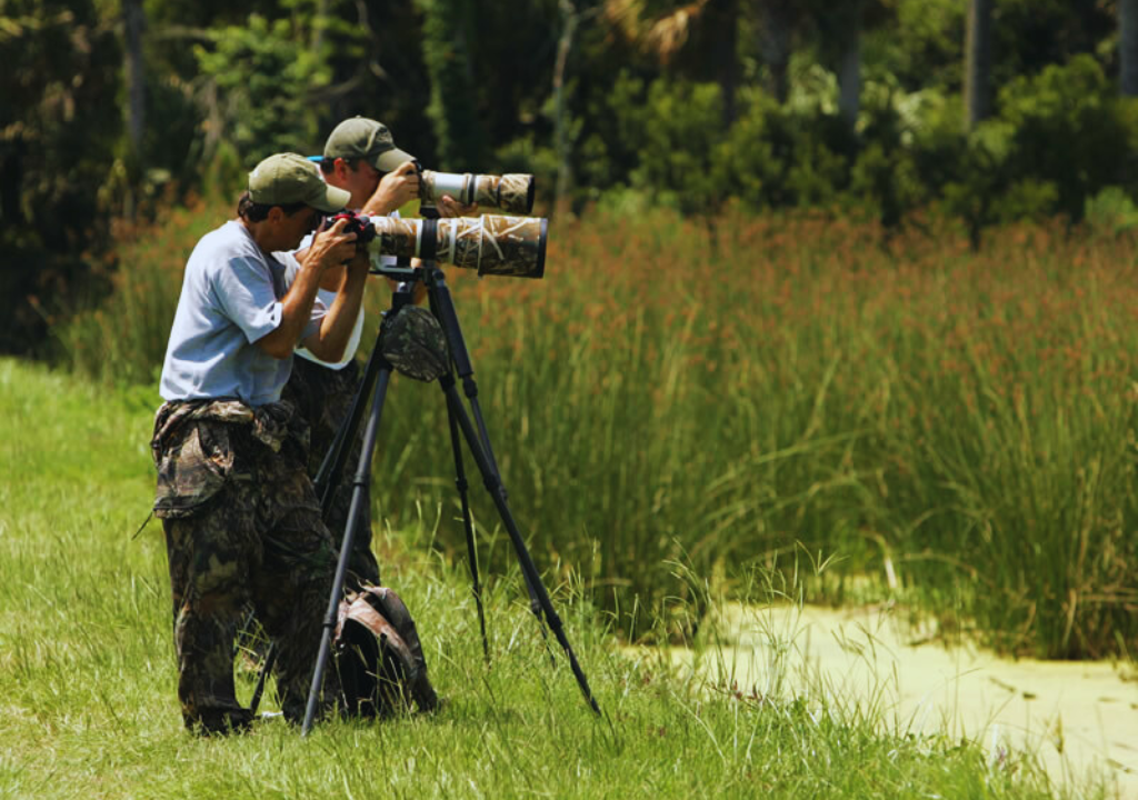 Photography in Rajaji National Park