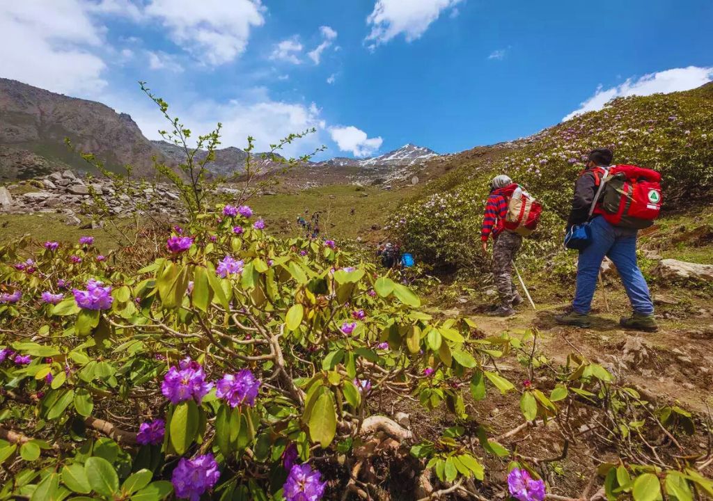 Valley of Flowers Trek