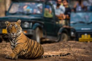 RAJAJI NATIONAL PARK SAFARI PACKAGE