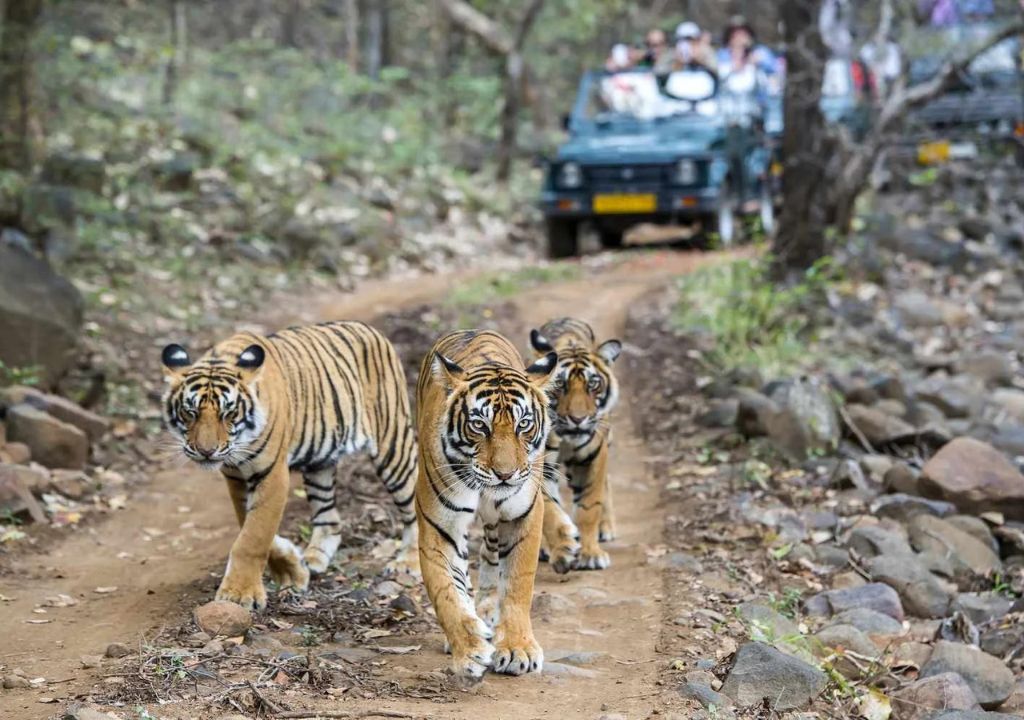 Location and History of Rajaji National Park