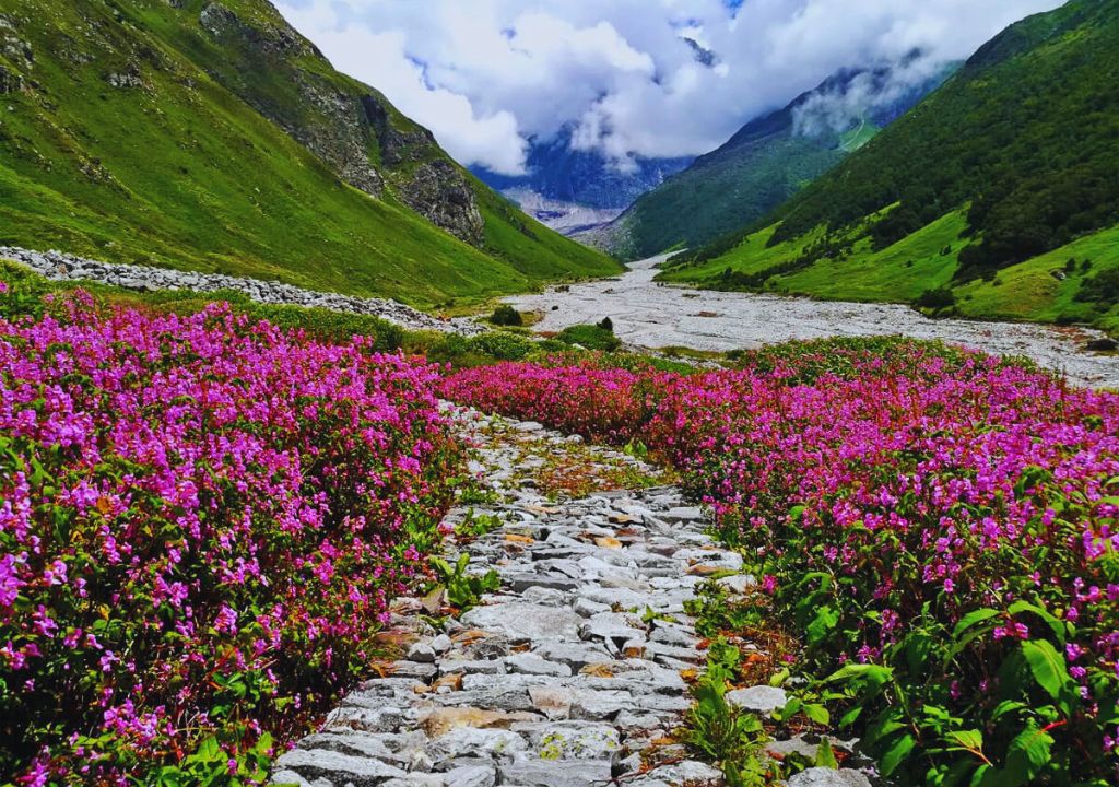 Valley of Flowers Trek