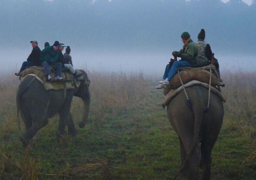 Monsoon Safari in Rajaji National Park