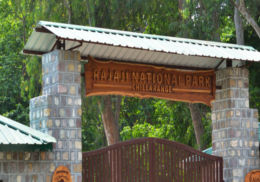 Camping Experiences at Rajaji National Park