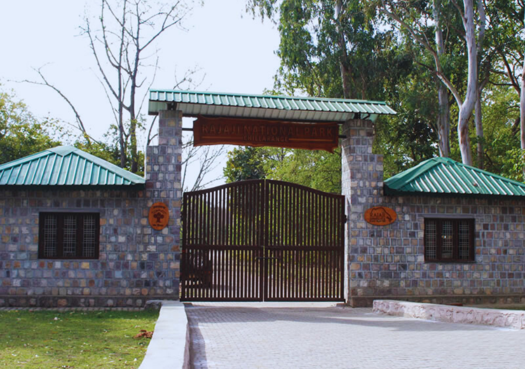 Rajaji National Park