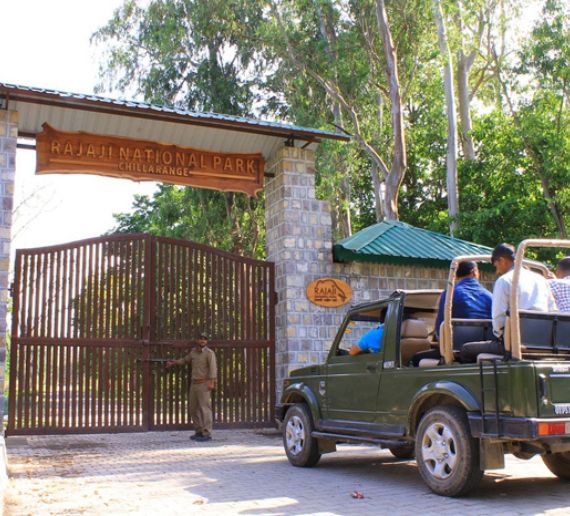 ajaji National Park Jungle Safari Package with Stay 2N/3D with 3-Safari & 2-Night Stay