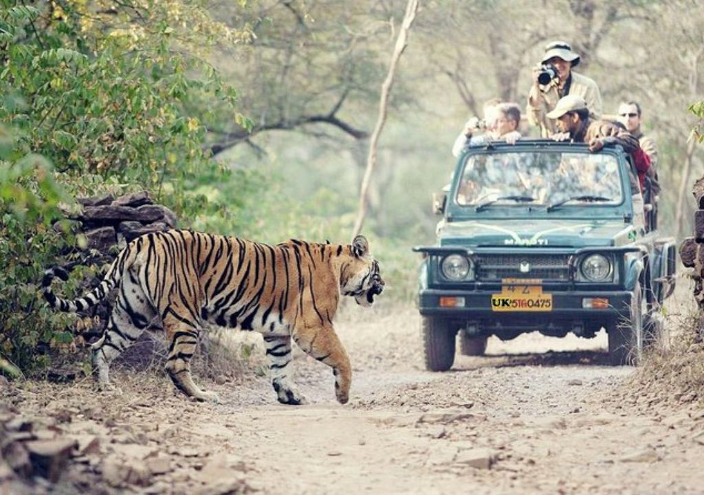 Adventure Activities in Rajaji National Park