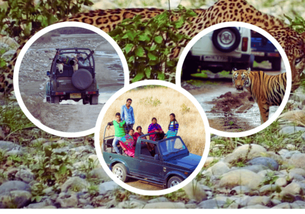 Adventure Activities in Rajaji National Park