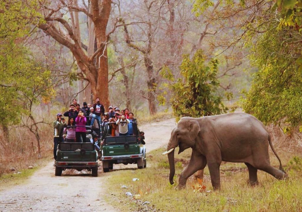 Rajaji National Park