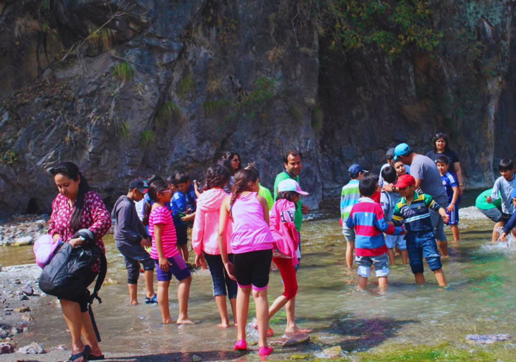 Wildlife Safaris for Families