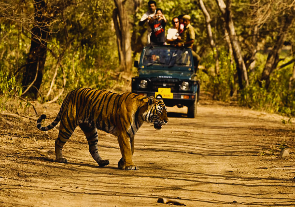 Photography in Rajaji National Park