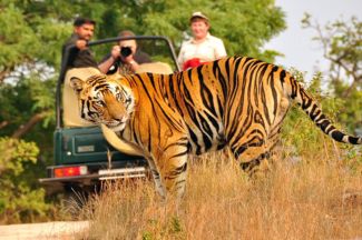 RAJAJI NATIONAL PARK SAFARI PACKAGE