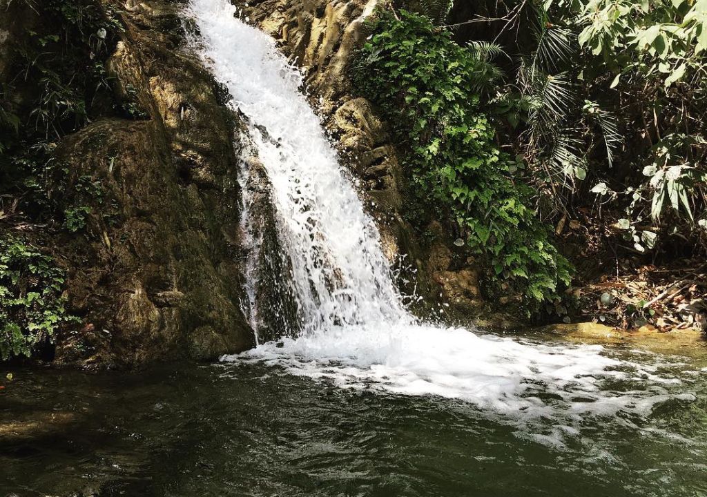 A Hidden Gem for Nature Lovers