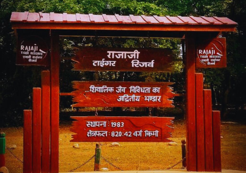 Rajaji National Park Timings, Entry Tickets, How To Reach, Stay in Rajaji, How To Book