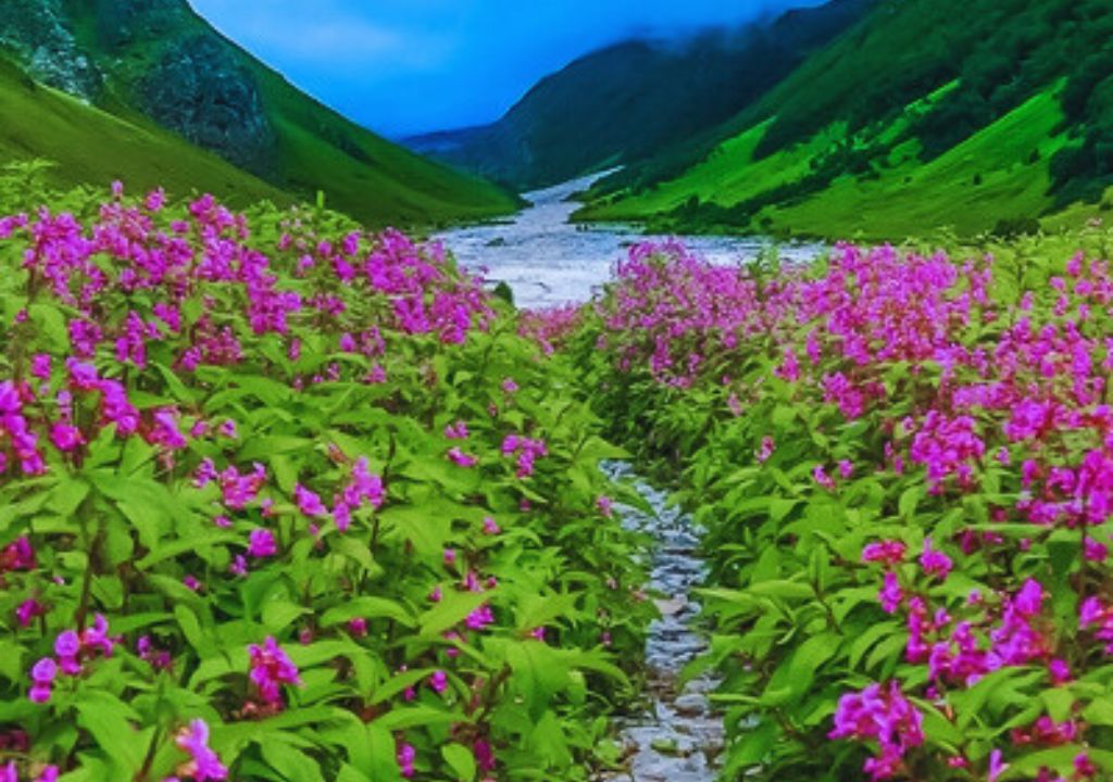 Valley of Flowers Trek