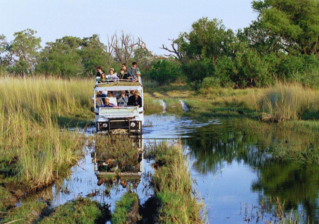 Monsoon Safari in Rajaji National Park