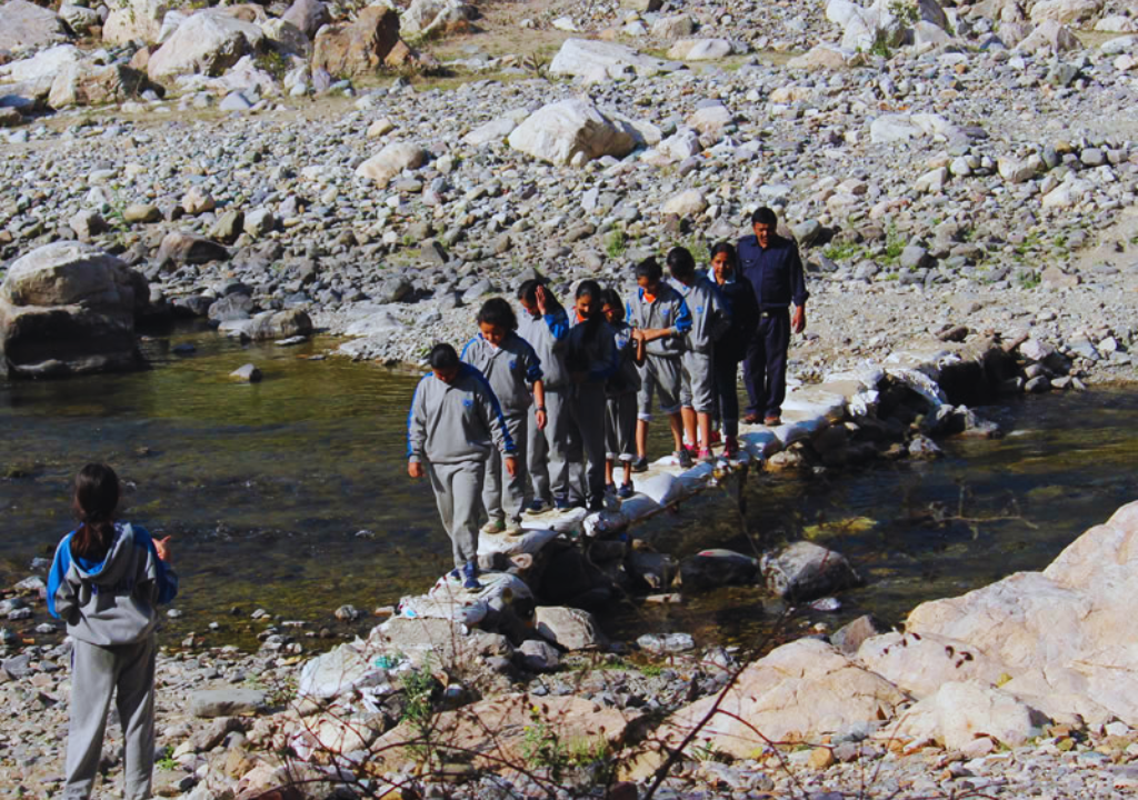 Wildlife Safaris for Families
