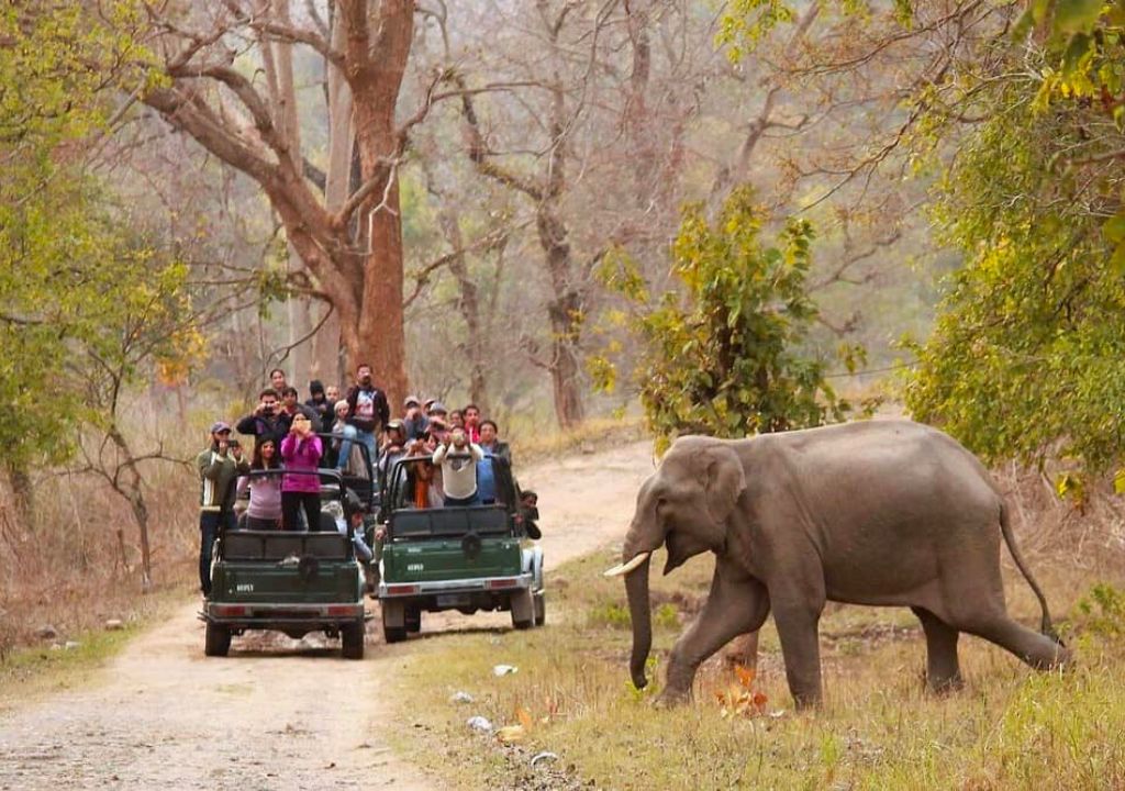next visit to Rajaji