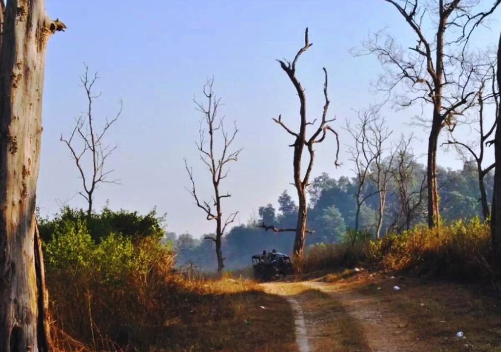 Location and Geography of Rajaji National Park