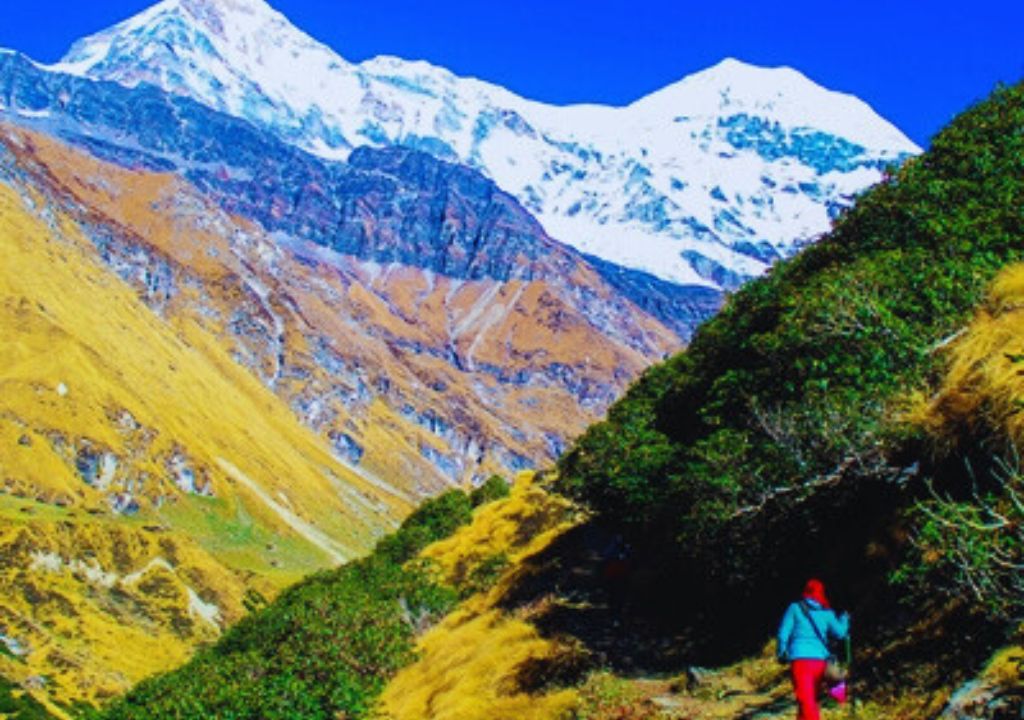 Pindari Glacier Trek