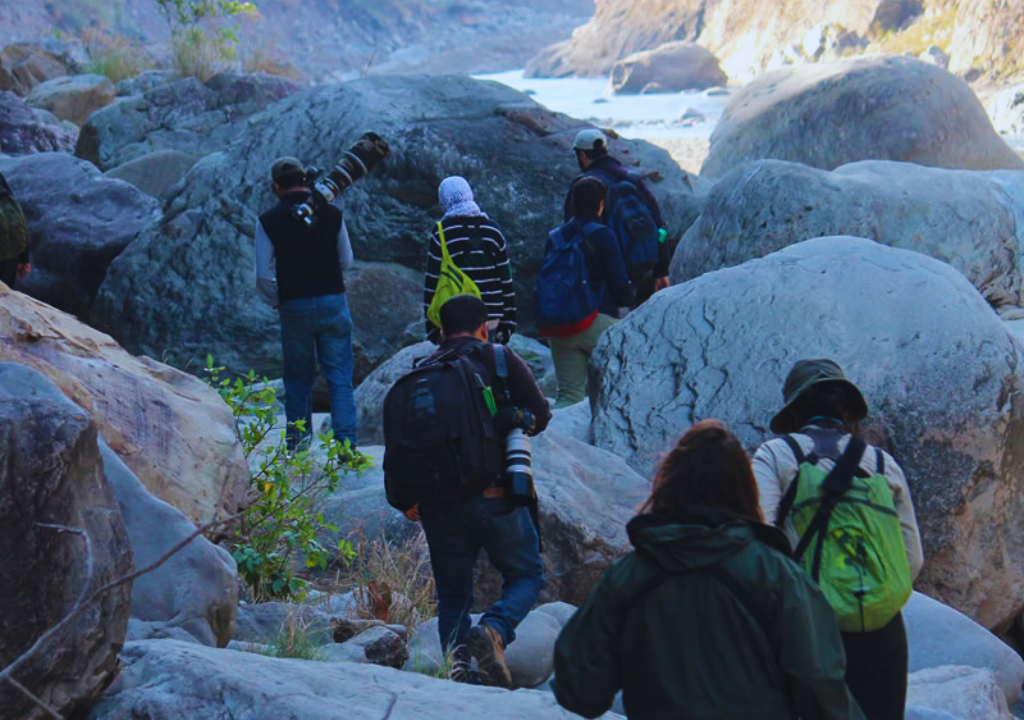Wildlife Safaris for Families