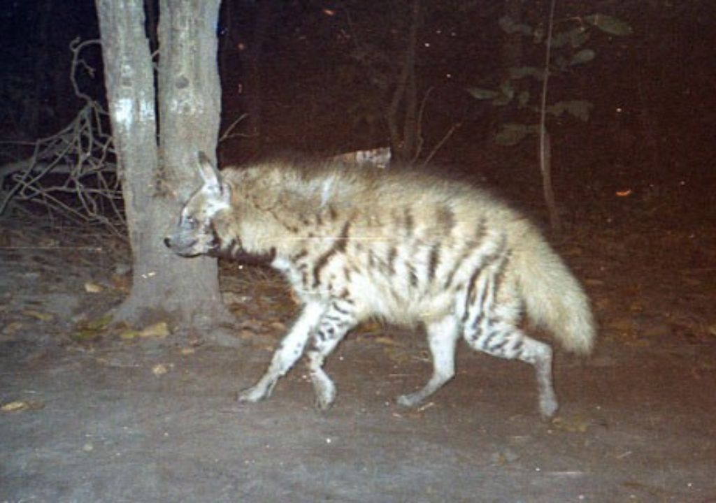 Rajaji National Park biodiversity