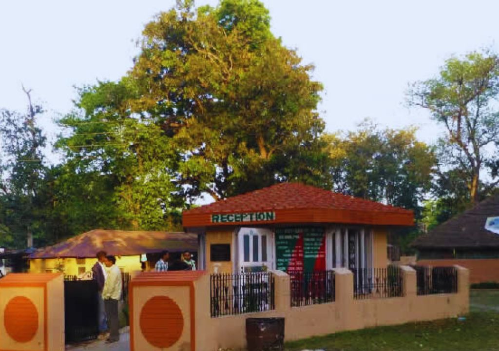 Rajaji National Park Safari Timings and Charges