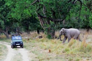 RAJAJI NATIONAL PARK SAFARI PACKAGE