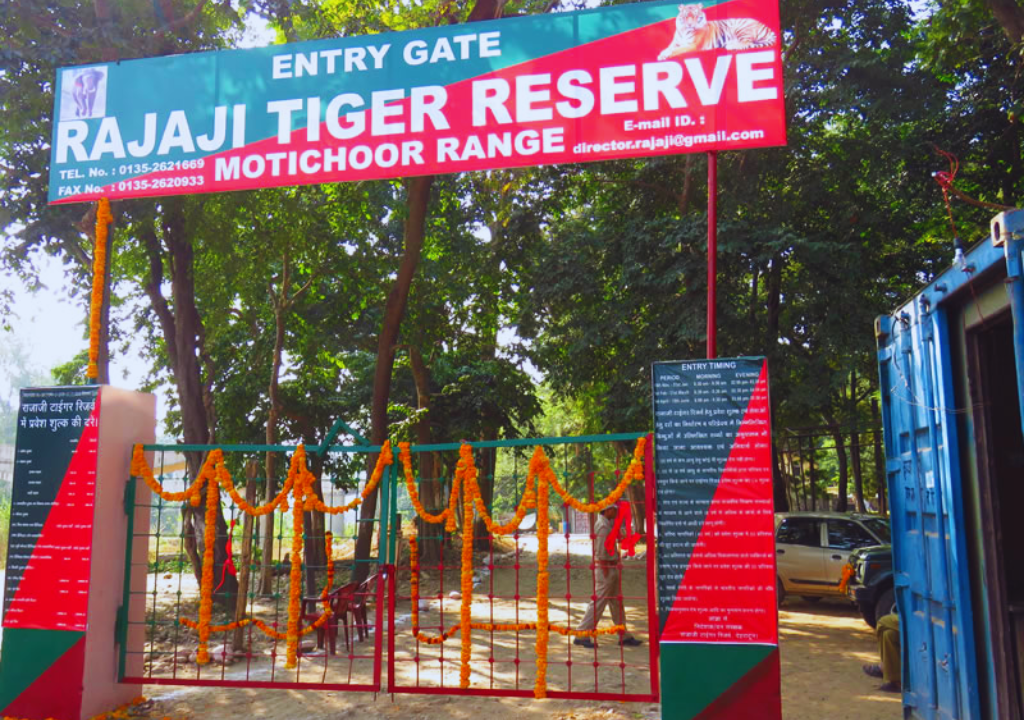 Safety Tips for a Memorable Rajaji Jungle Safari