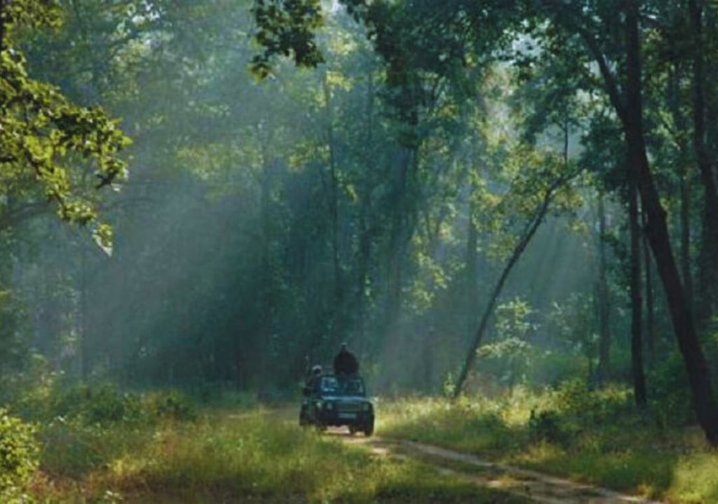 Monsoon Safari in Rajaji National Park