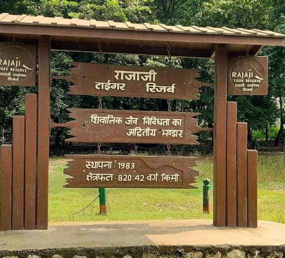 Rajaji National Park Jungle Safari Package with Stay 2N/3D with 6-Safari & 2-Night Stay