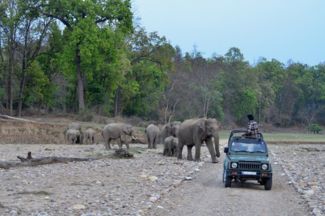 RAJAJI NATIONAL PARK SAFARI PACKAGE
