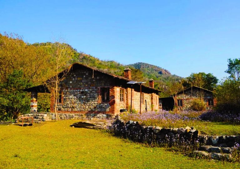 Stay in Rajaji National Park