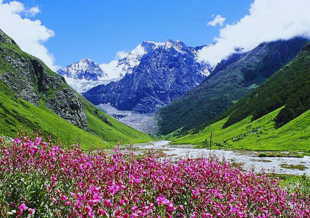 Valley of Flowers Trek