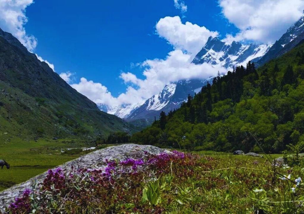 Har Ki Dun Trek