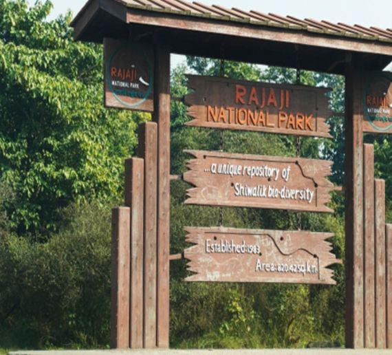 Rajaji National Park Jungle Safari Package with Stay 2N/3D with 6-Safari & 2-Night Stay