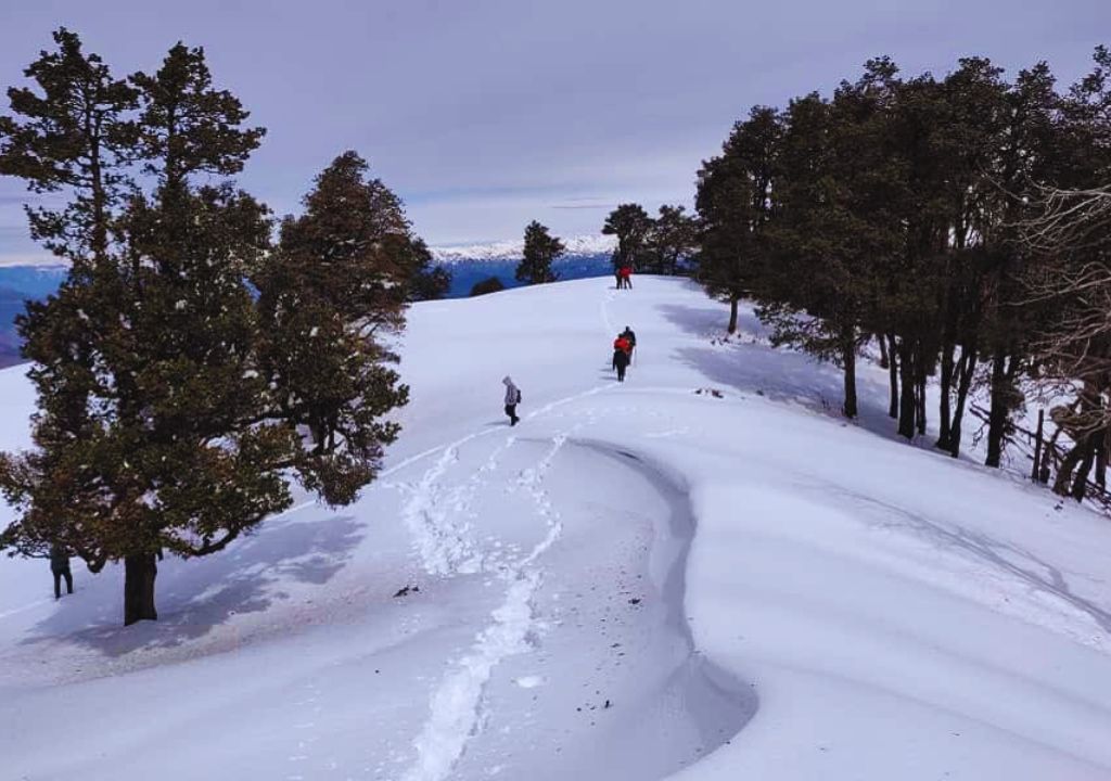 Nag Tibba Trek