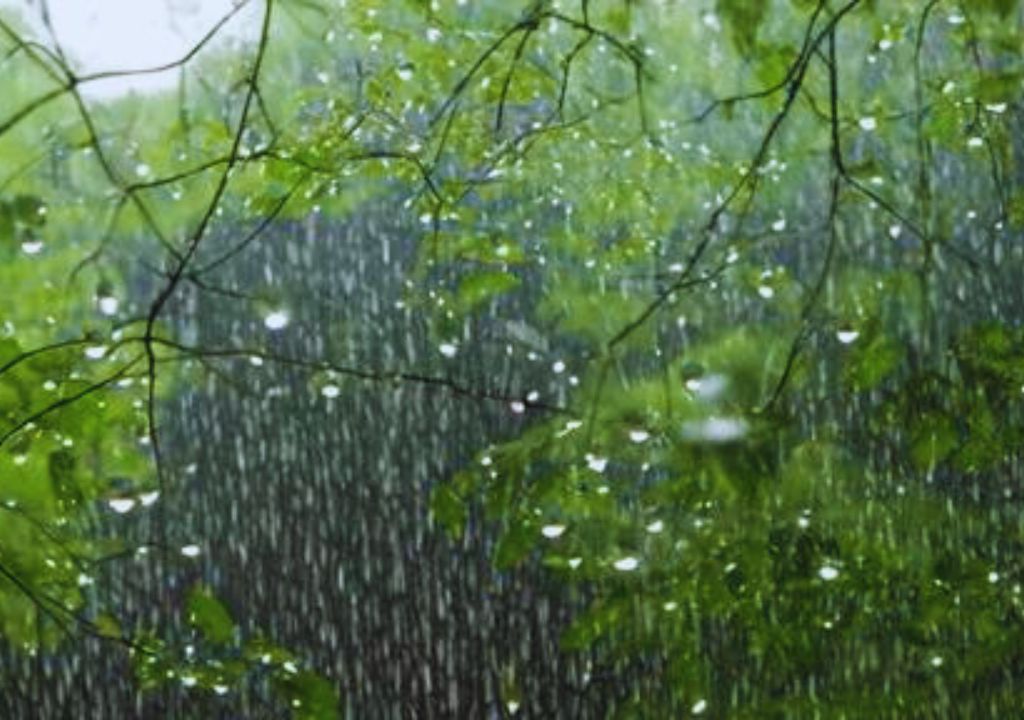 Monsoon Safari in Rajaji National Park