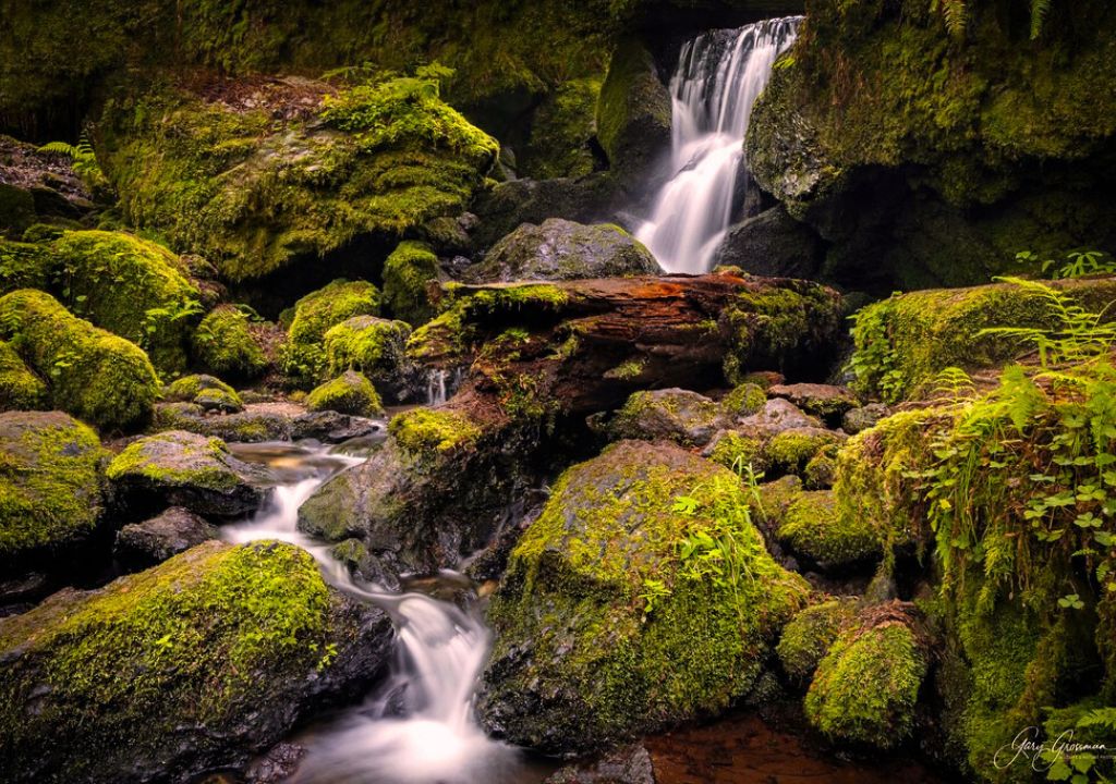 Mossy Falls
