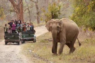 RAJAJI NATIONAL PARK SAFARI PACKAGE