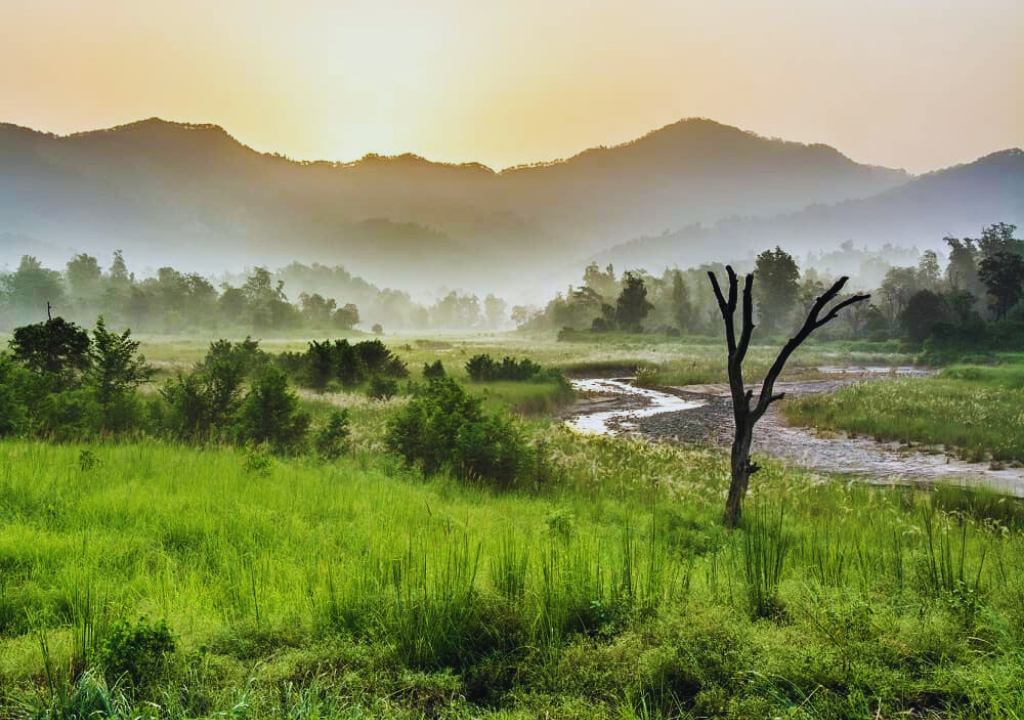 Best Seasons for Trekking