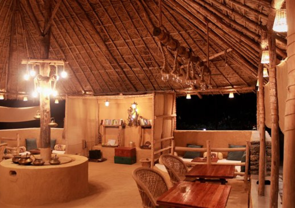 Best Times to Visit Rajaji National Park