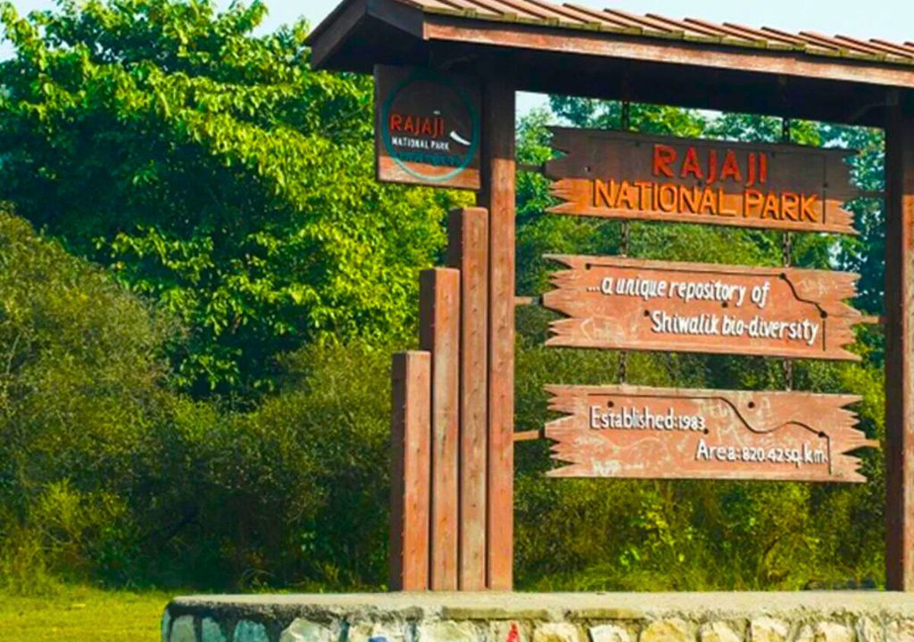 Best-Times-to-Visit-Rajaji-National-Park