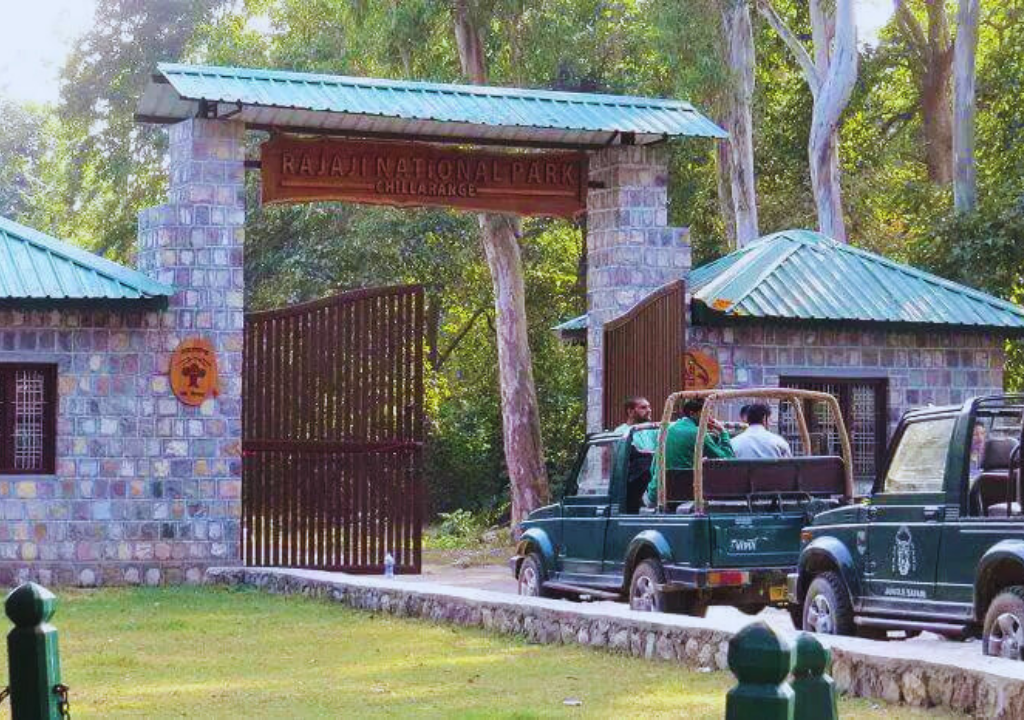 How Can I Go to Rajaji National Park