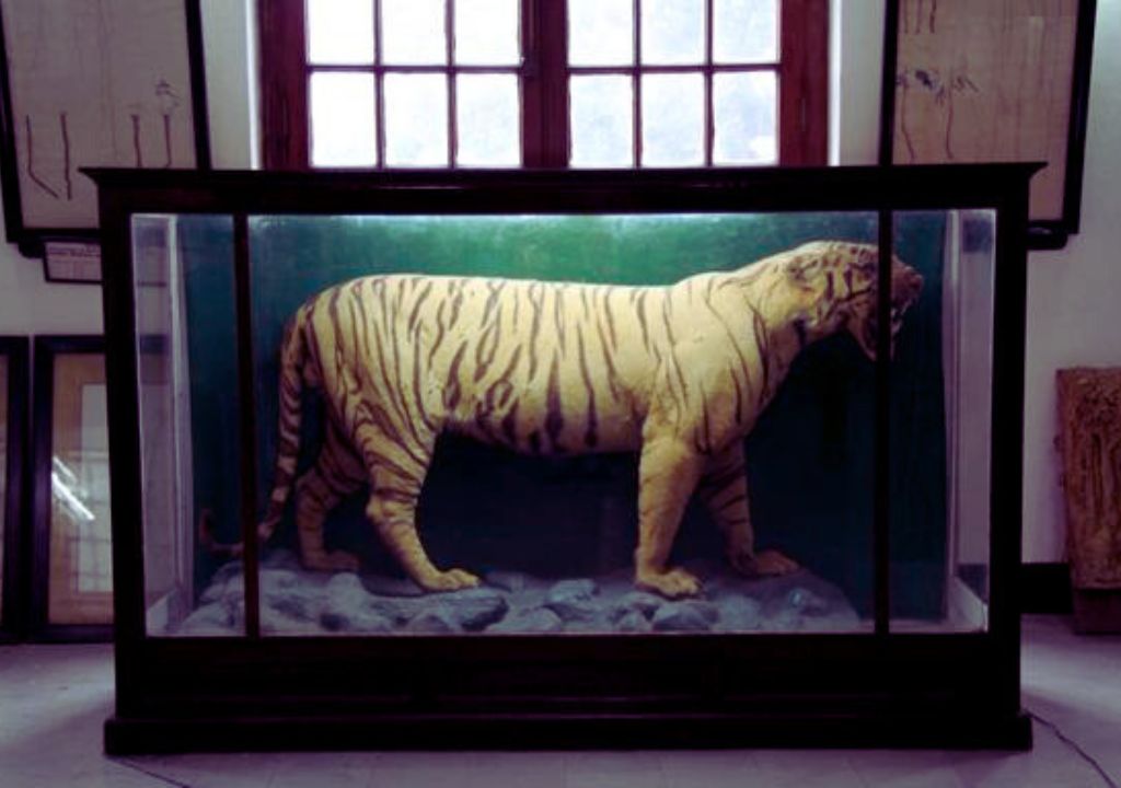 FRI Museums in Dehradun