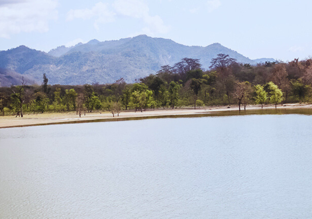 Flora and fauna of Rajaji National Park